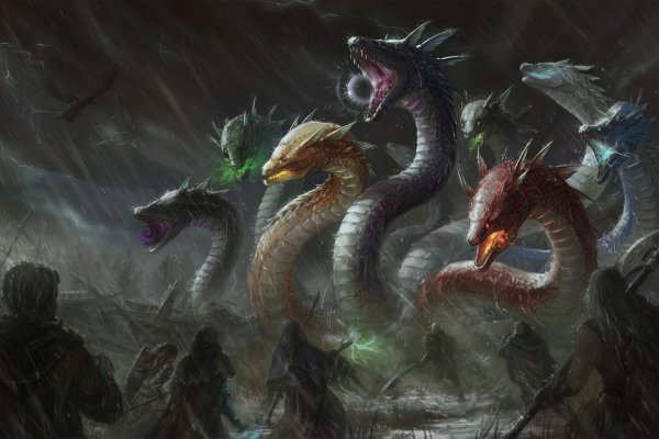 Kraken маркет whitenet только через tor
