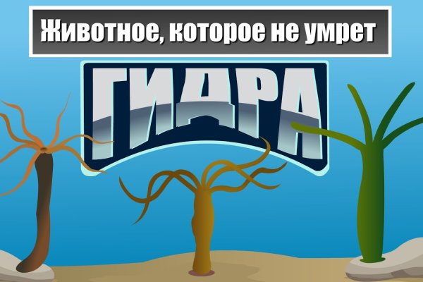 Kraken ссылка зеркало официальный