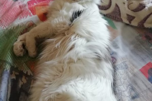 Как вернуть аккаунт кракен