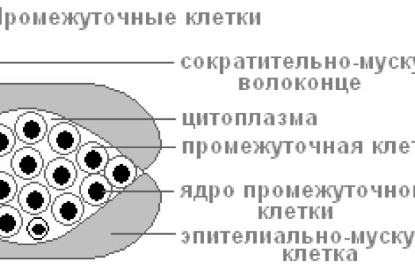 Сайт kraken whitenet