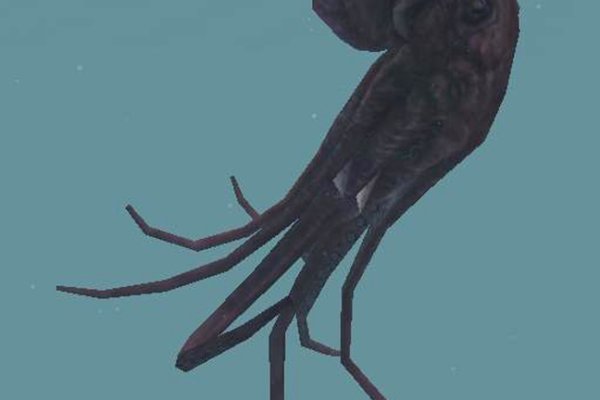 Kraken whitenet market