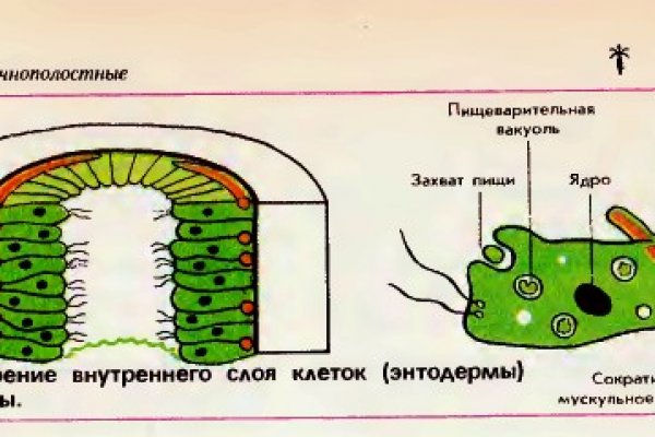 Кракен оригинальная ссылка для тор