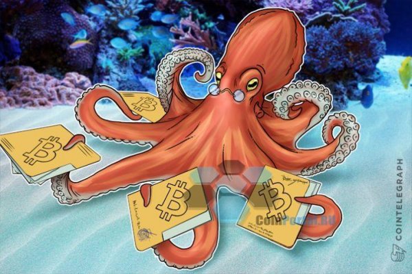 Kraken kraken dark link
